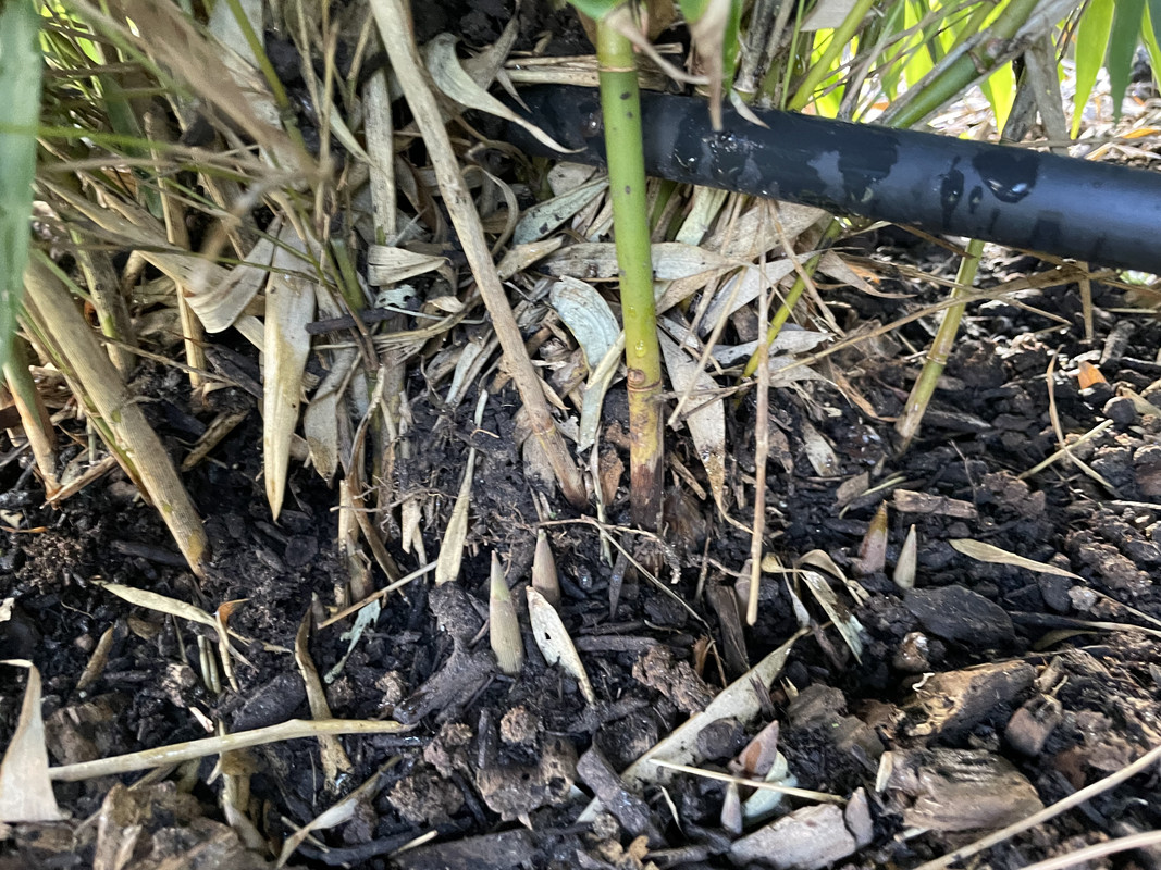 00FBEB51-7D7F-4BD9-813F-1FC6C1354192