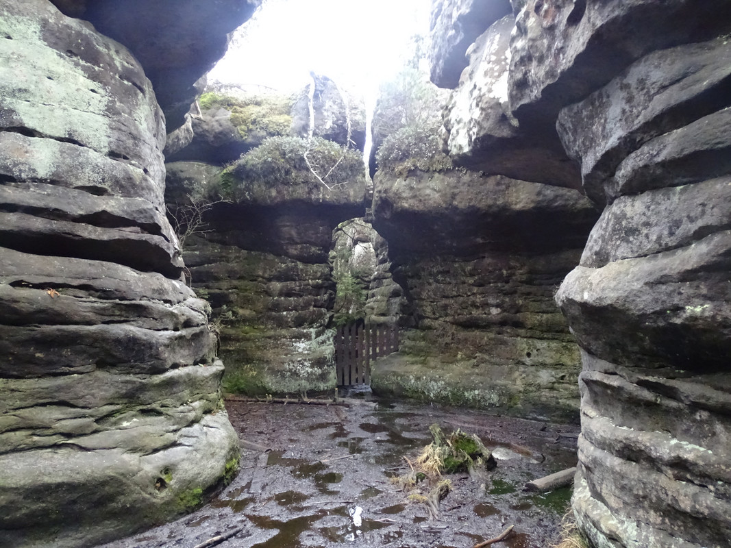 03.08 - DSC01744 (irycki)