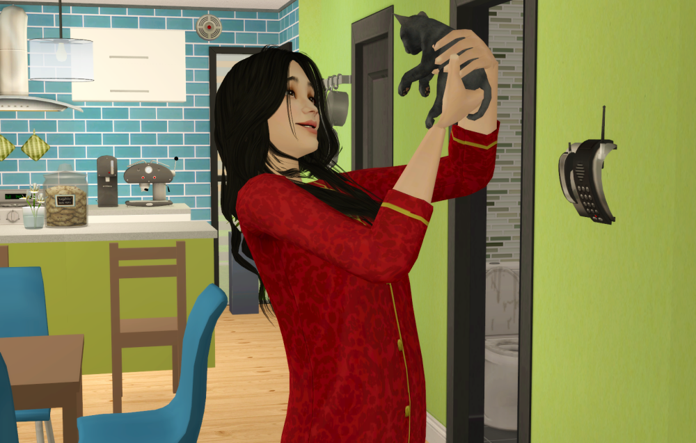 Sims2-EP9-RPC-2021-06-26-09-26-38-31