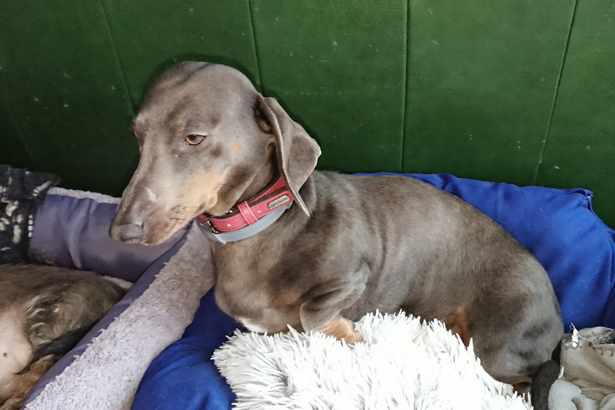 [Image: DSC-3594.jpg]