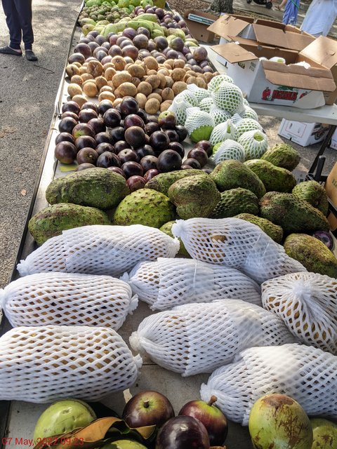 [Image: PXL-20220507-132312102.jpg]