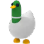 Silly Duck