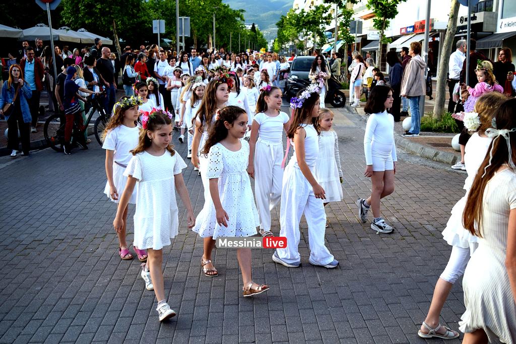 anthestiria-DSC-1157