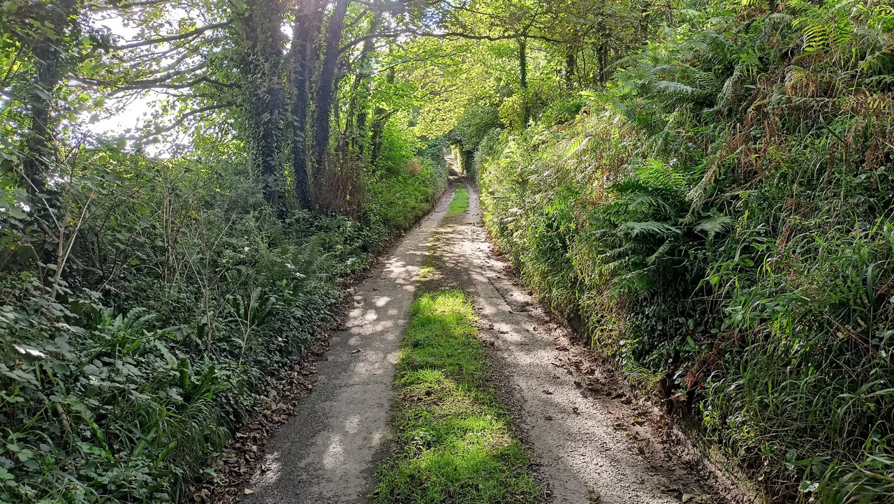 IMG20230912163027 (Large)