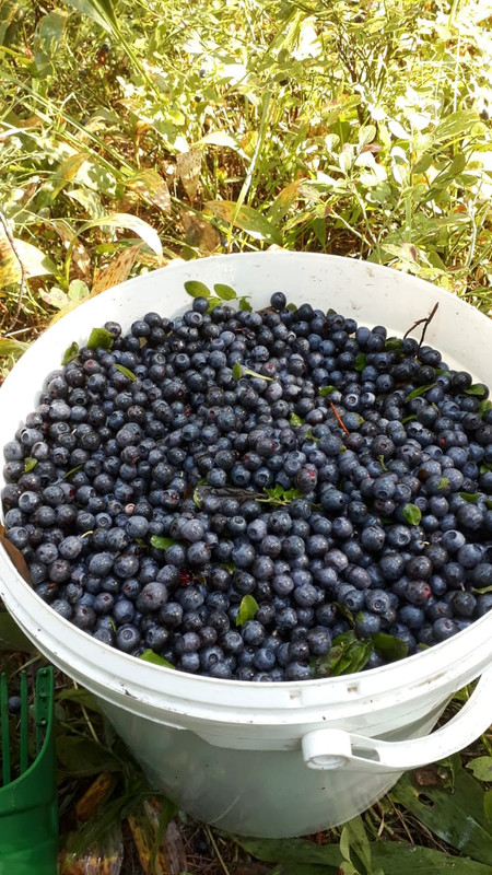 Img 20230728 Wa0000 1 Postimages