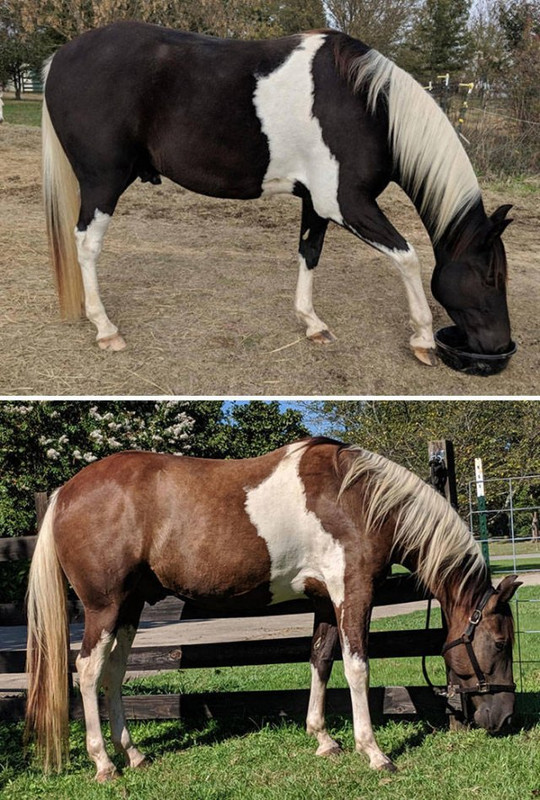comparison-20