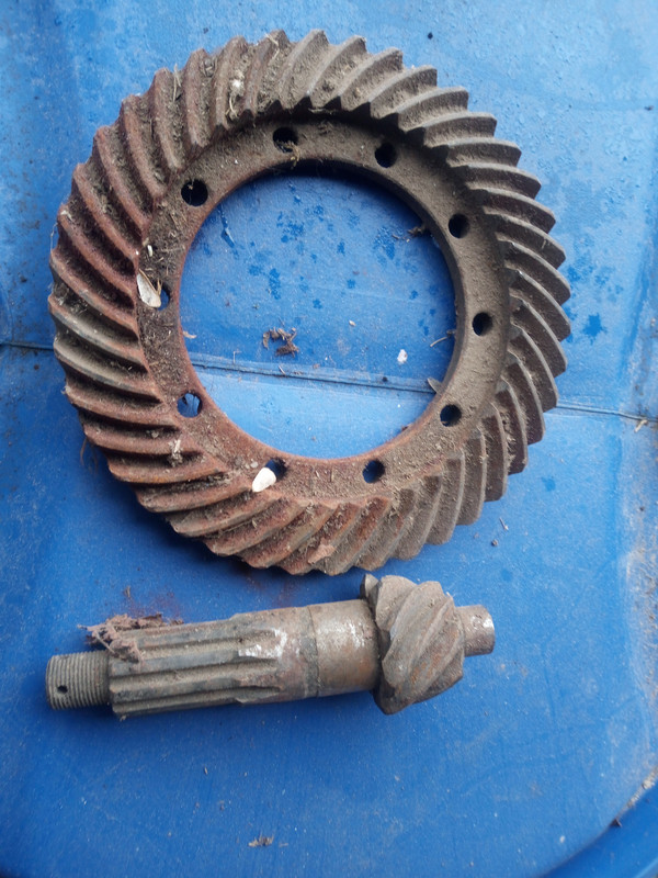 IMG 20260214 102020165