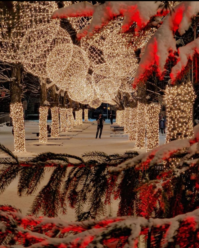 Screenshot_20231210_222819_Instagram