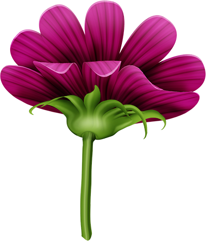 KBK_InTheSpring (114)