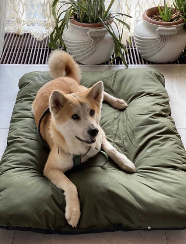 7E38BF4F-7875-4177-AE64-5F5759C9C6DD