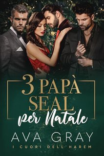 Ava Gray - I Cuori dell'Harem Vol. 1. 3 Papà SEAL per Natale (2024)