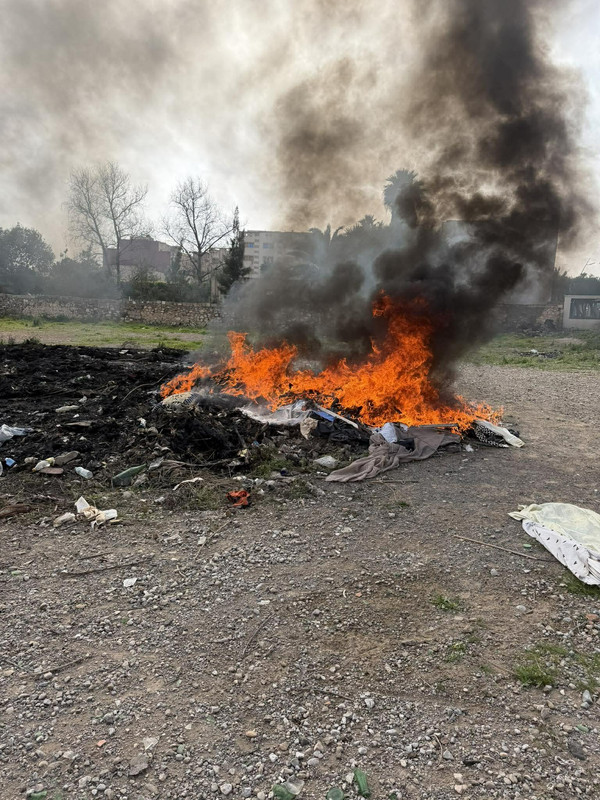 639232528-1407784723860306-1290219217803216855-n