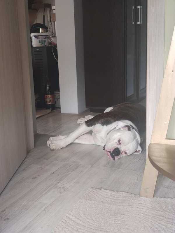 B47ED4A3-B6EA-4F24-8426-AB3D62B27864