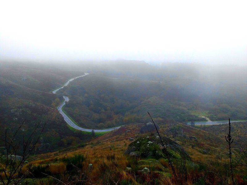 20201208-192117.jpg