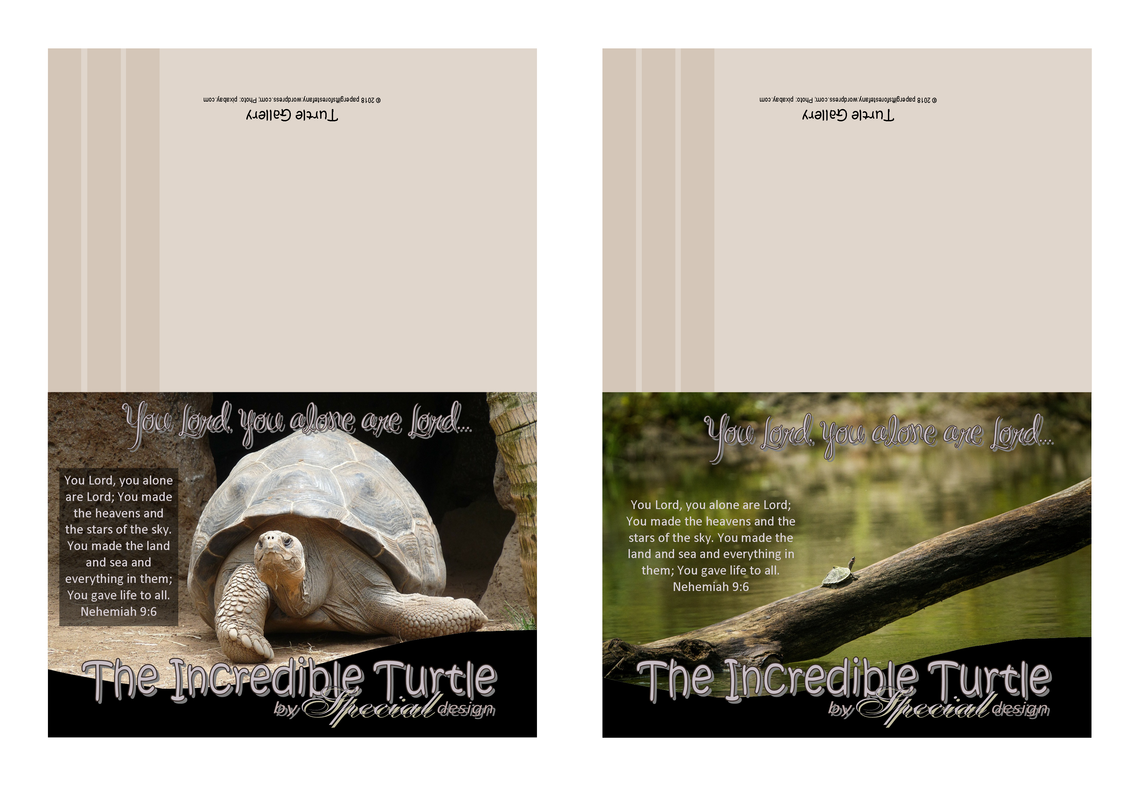 Turtle Photo Note Cards3 A4