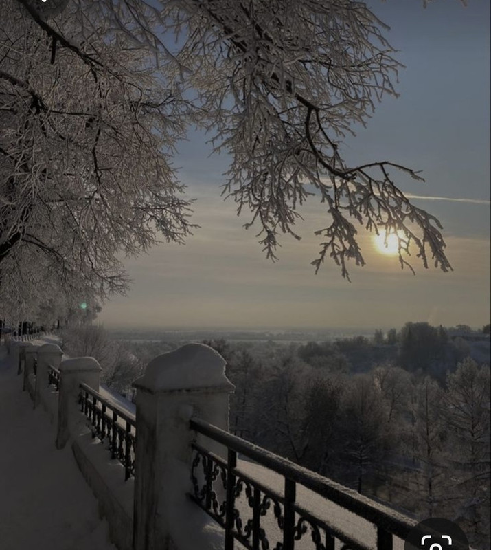 Screenshot_20240116_213900_Pinterest