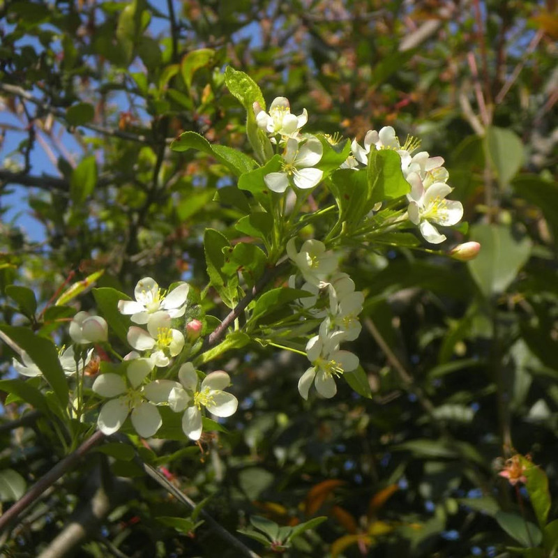 photo 11 2025 12 24 16 16 39