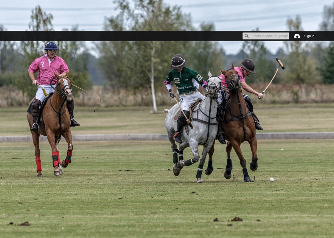 people-polo-players.jpg