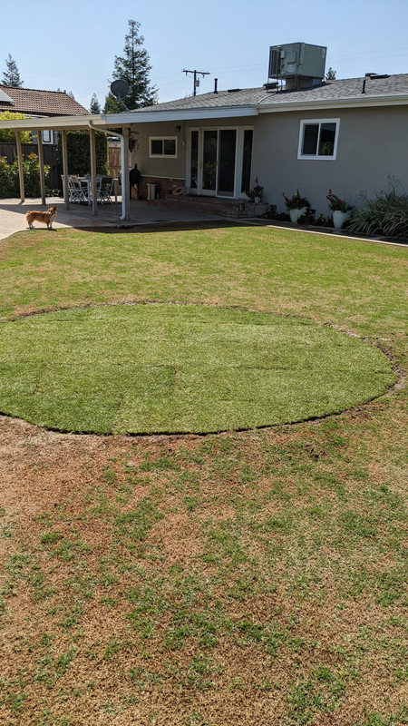 PXL_20220427_174409751