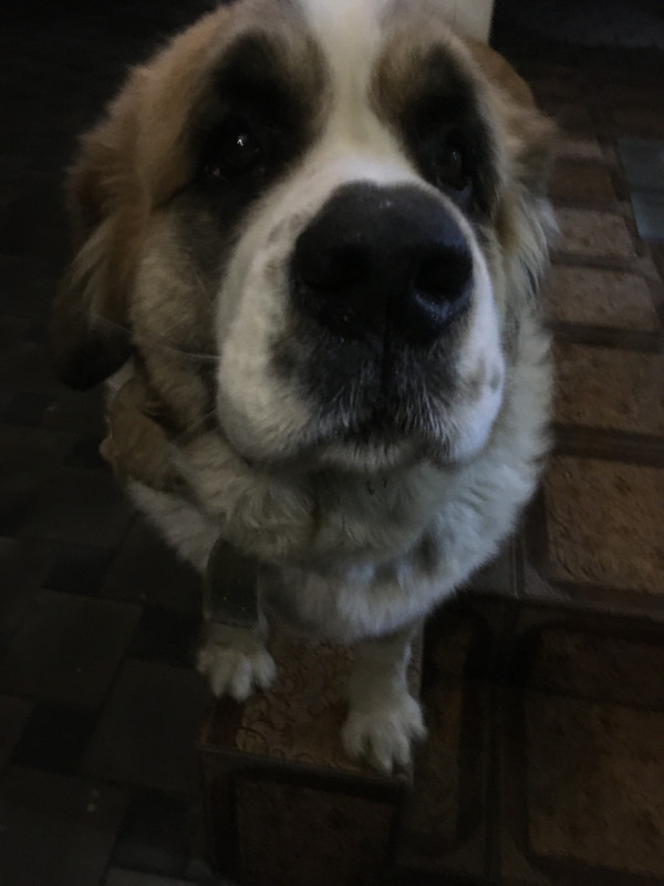 770726AD-2921-451A-B2FB-D3B644F43E5E