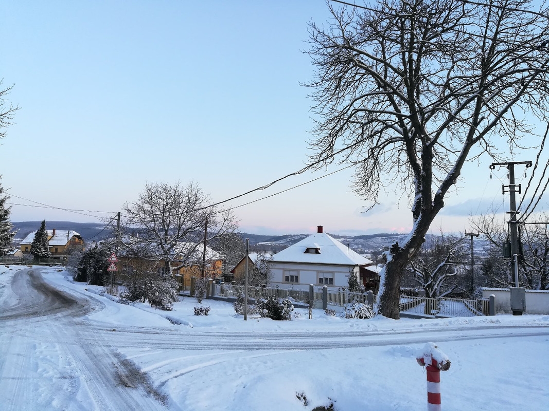 Kép