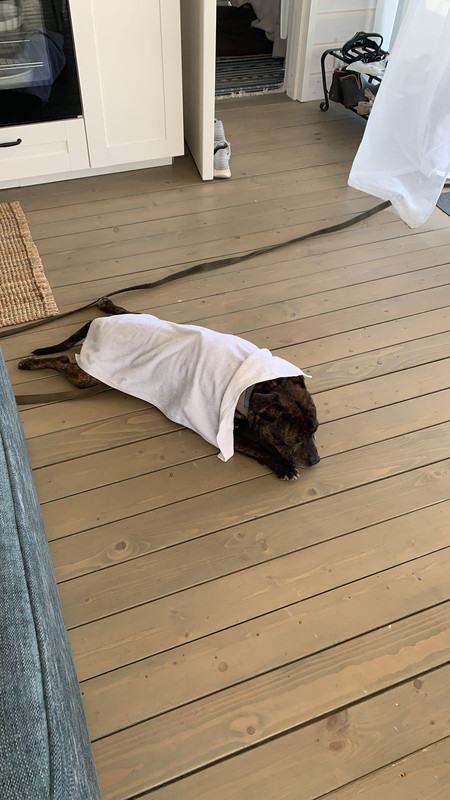 AC514C2D-3E08-4514-94E0-71621B9D5652