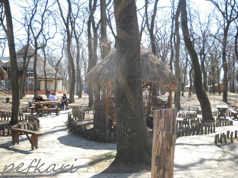 Slika