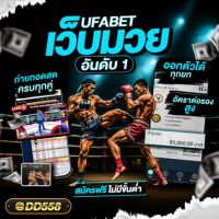 49e8b9-82cb41b0a0ae495a8b5234bf965b408d-mv2