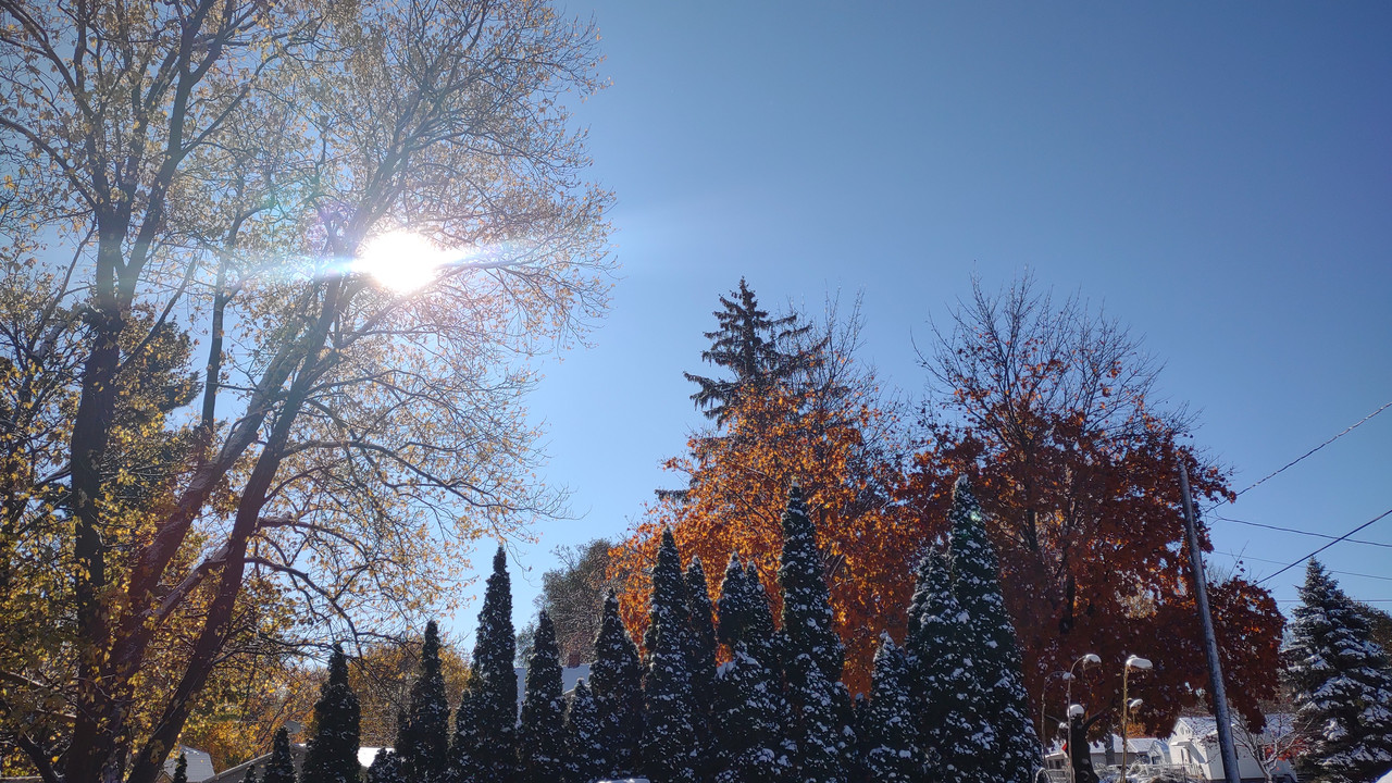 IMG 20251110 110026157