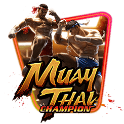 Muay Thai Champion