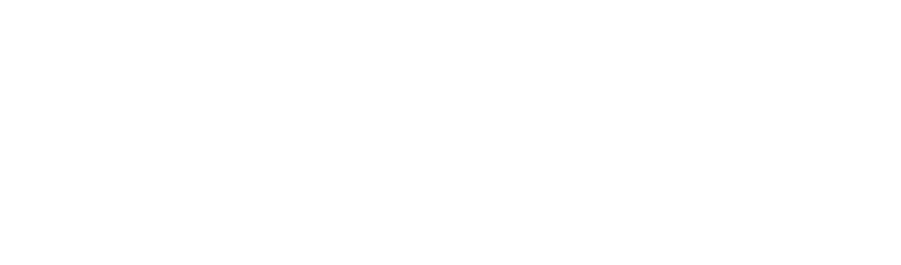 USD logo