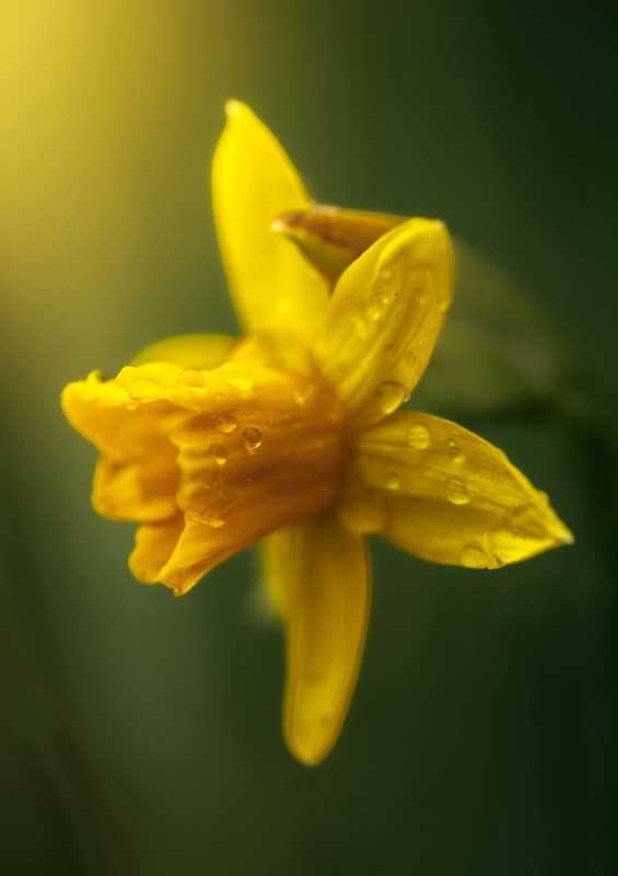 Screenshot_20240427_001637_Threads