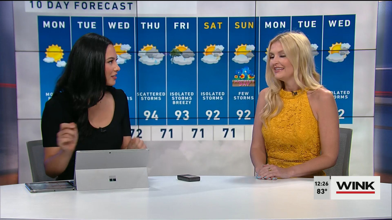 05.08 - 17.00.00 - The WINK Noon News  ᴺᵉʷ. Midday news update..ts_snapshot_31.56.533
