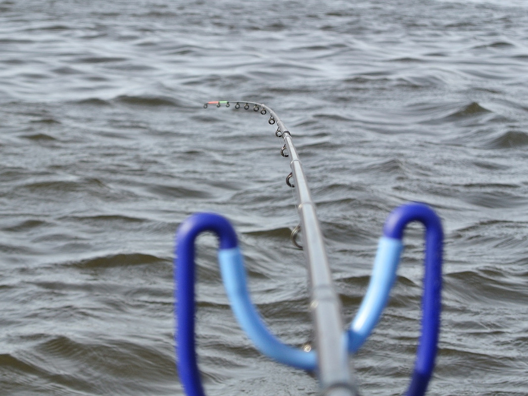 Добрянка 20.03.15 03