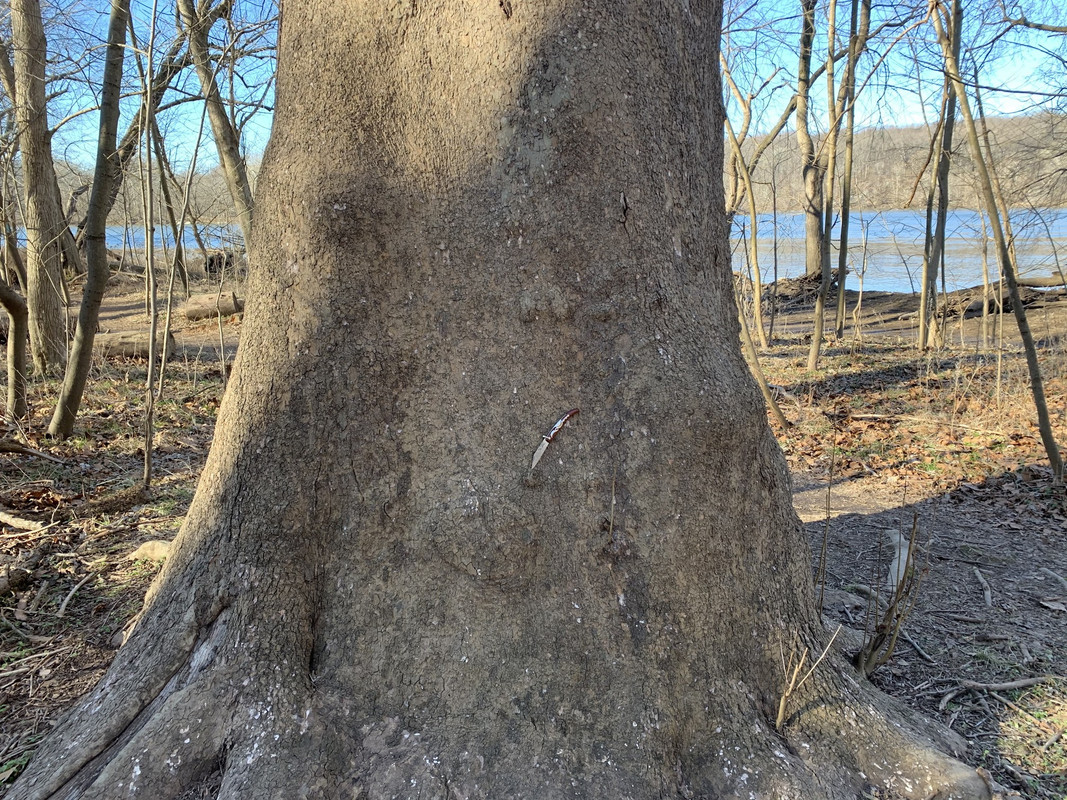 567A7FFE-AC7F-433F-A789-0A124EAB44CD