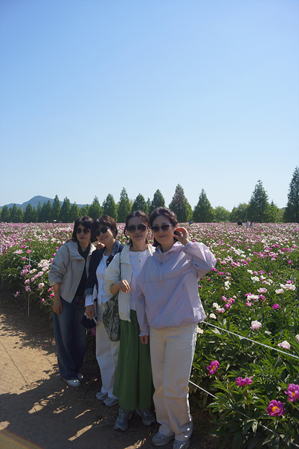 DSC06482