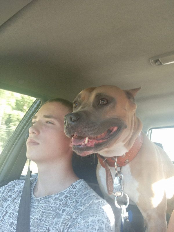 B567F4E3-BDF7-44AB-A8B2-FC3C98712429