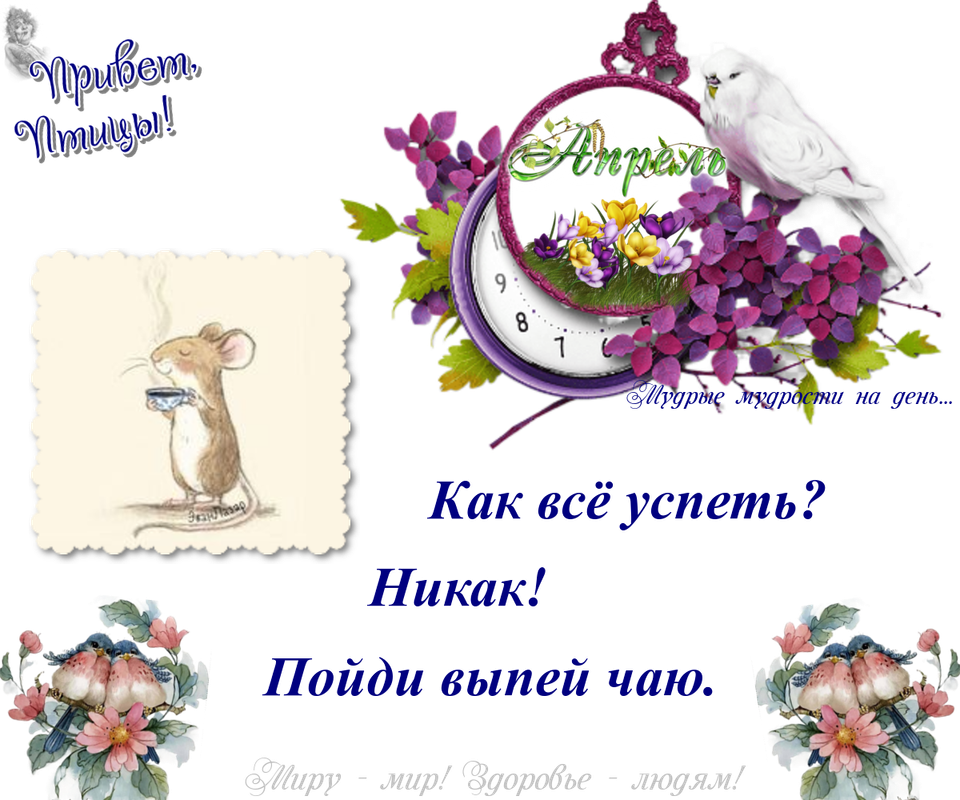 https://i.postimg.cc/rFc5yVX3/17-04.png