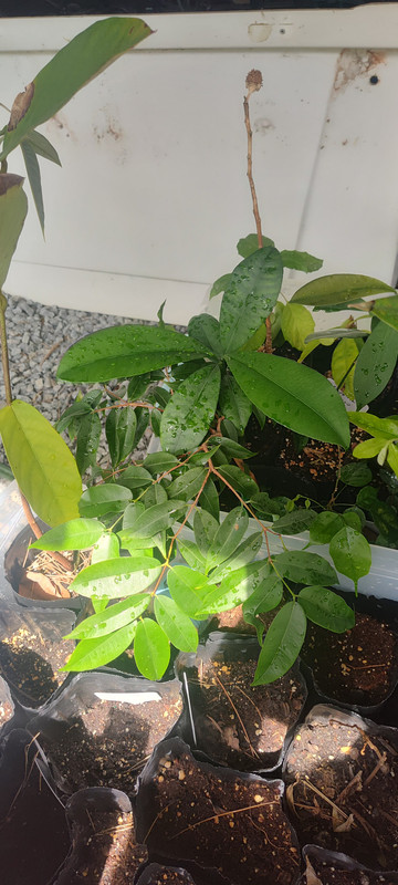 IMG_20250508_161843726_HDR