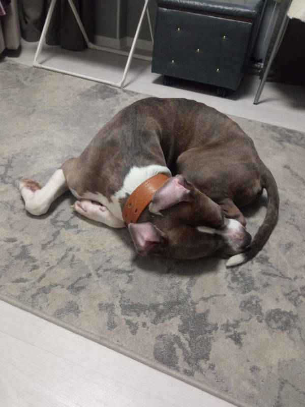 4856D61E-3722-4D88-9AFE-5CA19128C8EC