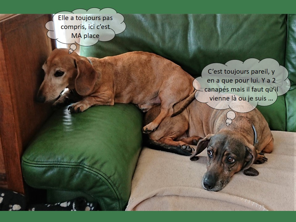 [Image: Crise-de-place.jpg]