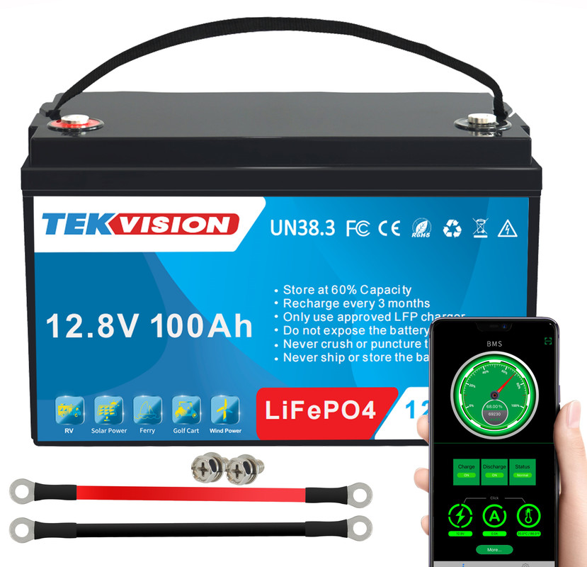 12V 100Ah Smart Lithium Batterie 19% MwSt – Tekvision Technologies