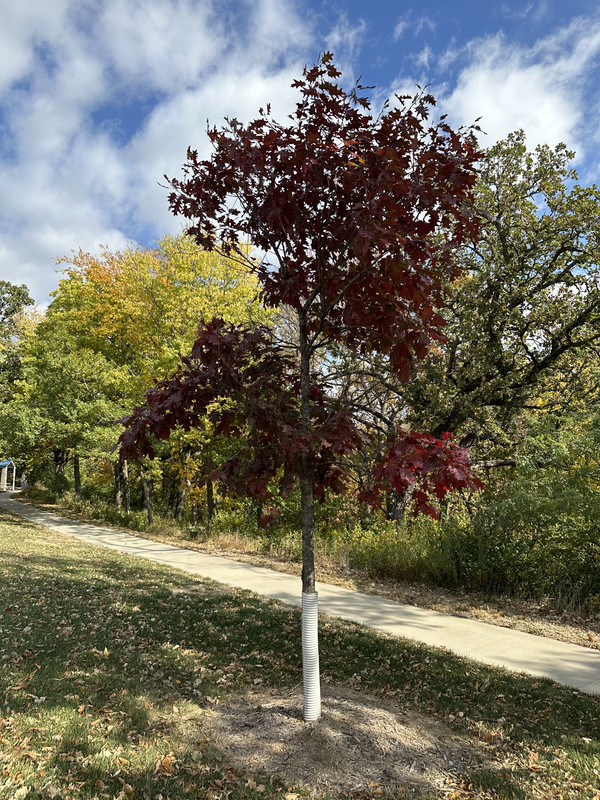 1DC3C1EF-DC5C-4F7B-87F3-3942976F4FBC