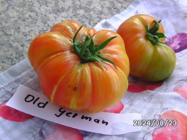 [Bild: BILD0347.jpg]