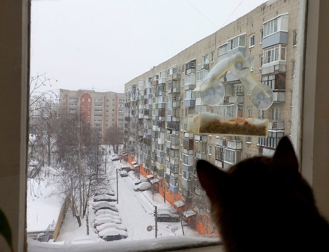 user posted image