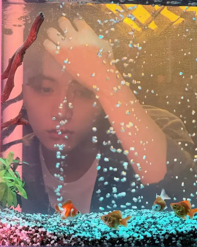 20251005_142403_copy_1152x1440