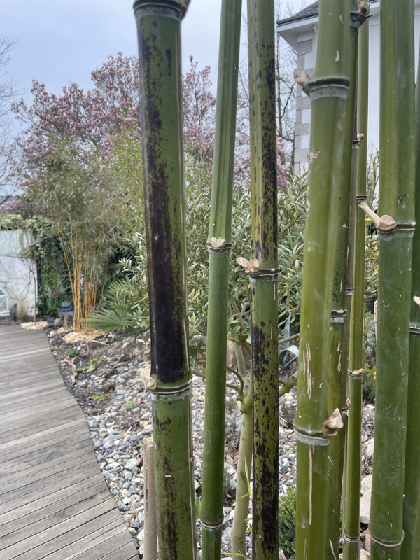 62EA466A-48BE-4D99-B830-14CDCE0DB35B