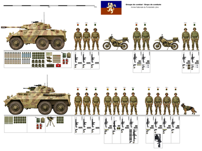 https://i.postimg.cc/6pTBC1L5/groupe-de-combat-pontarbello.png