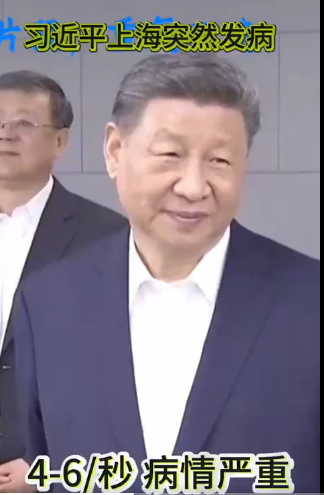 https://i.postimg.cc/rFfLnd4K/imige-4.png