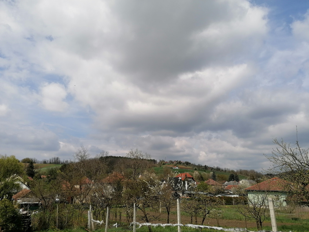 Kép
